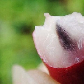 何謂神秘果呢?神秘果到底是甚麼呢?